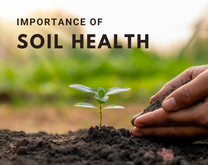 Importance of soil health