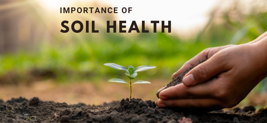 Importance of soil health