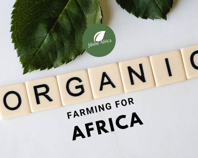 Organic Gardening for Jilishe Africa website