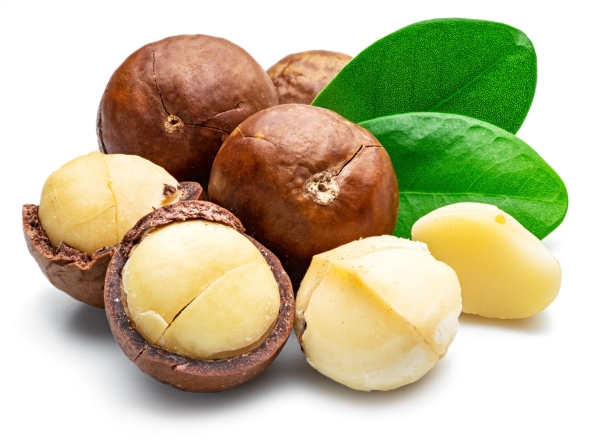 Macadamia Nuts
