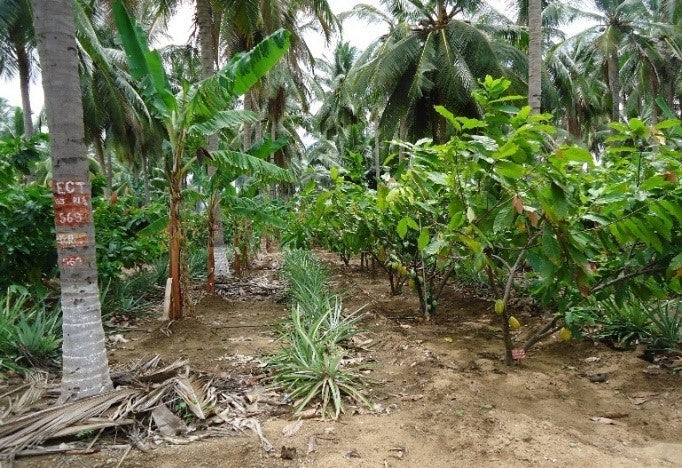 Multi layer farming
