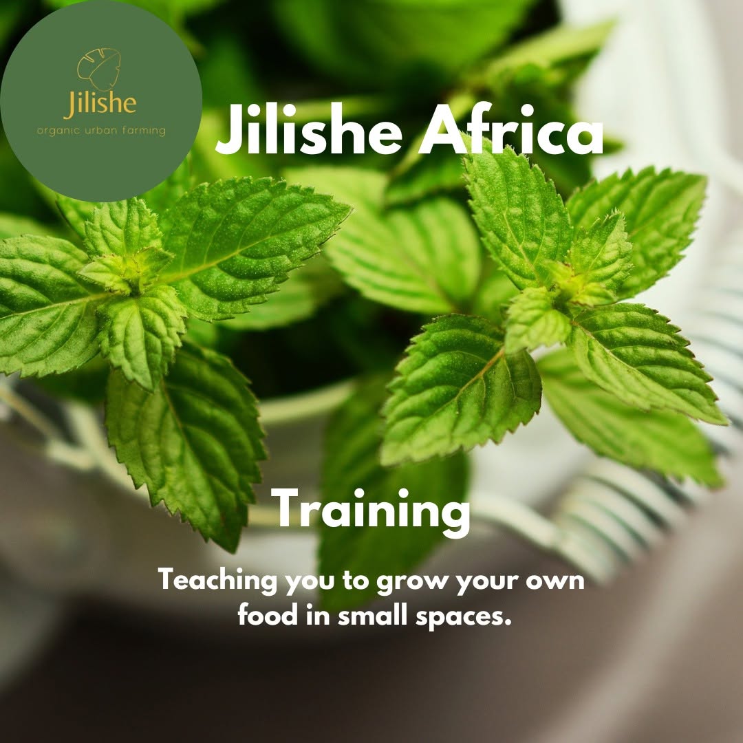 Jilishe Africa Training