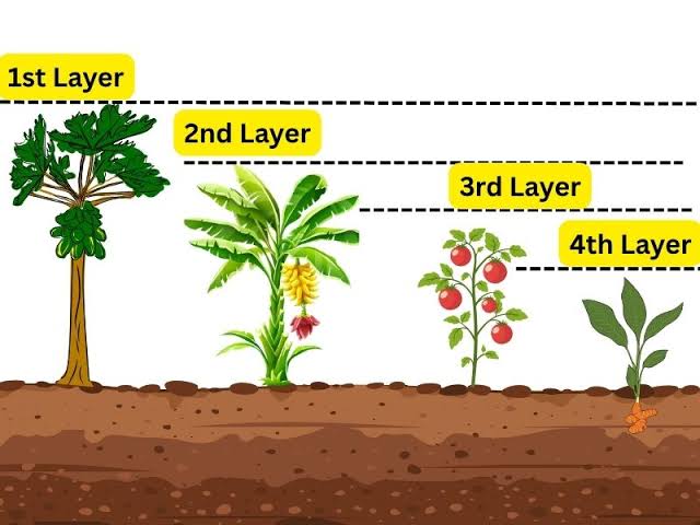 Why Small Gardens and Farms Should Embrace Three-Layer Growing Systems