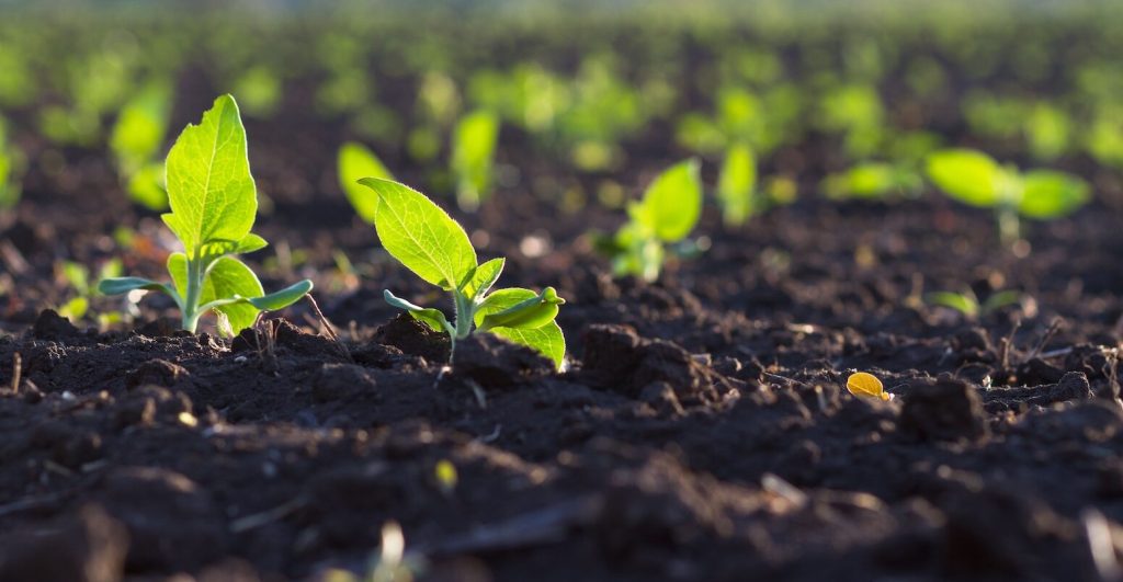 soil health